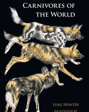Book Review: Carnivores of the World