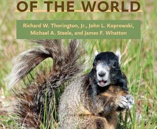 Book Review: Squirrels of the World
