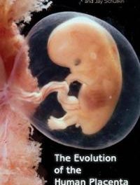 Book Review: The Evolution of the Human Placenta