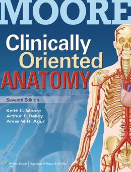 Book Review: Clinically-Oriented Anatomy, 7th edition