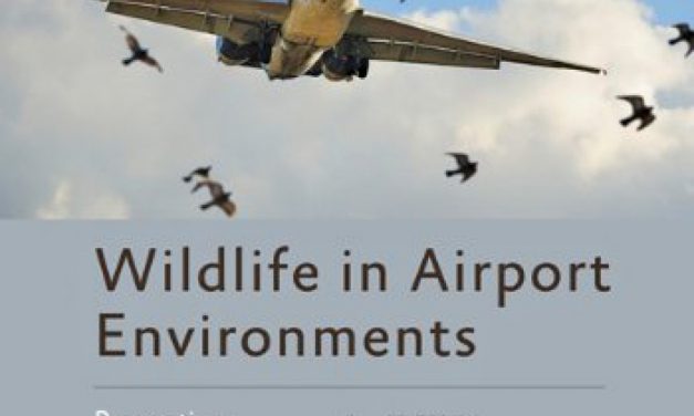 Book Review: Wildlife in Airport Environments: Preventing Animal-Aircraft Collisions through Science-Based Management