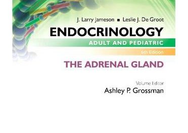 Book Review: Endocrinology, Adult and Pediatric, 6th edition – The Adrenal Gland