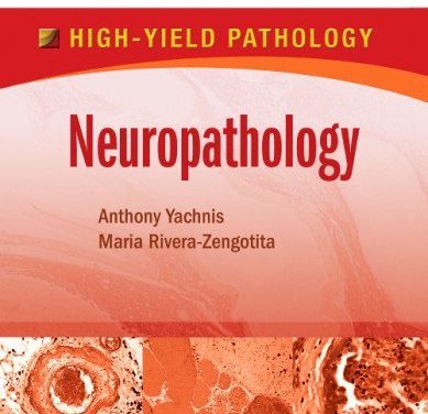 Book Review: Neuropathology: A Volume in the High-Yield Pathology Series