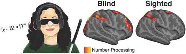 The Surprising Thing Blind People Doing Math Reveals About the Brain