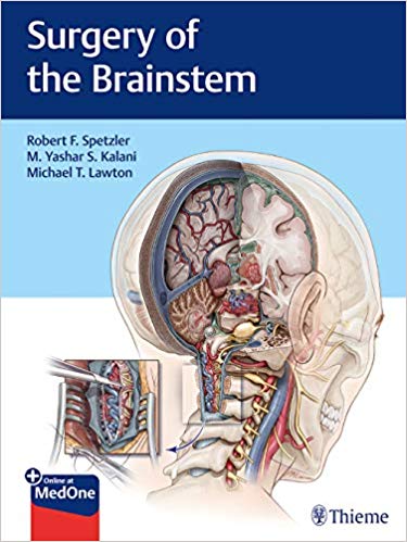 Book Review: Surgery of the Brainstem