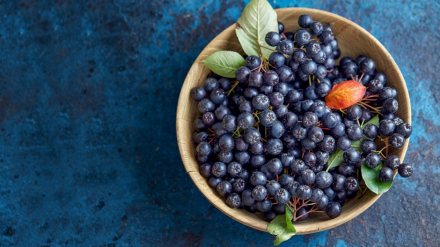 Aronia Berries: An Excellent Source Of Antioxidants