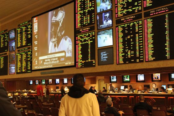 Day Trading Has Replaced Sports Betting As America’s Pastime